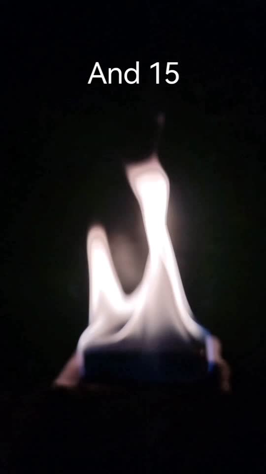 Bushveld fire block burn test